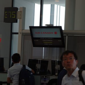 2015-08-05_IMGP8629_a