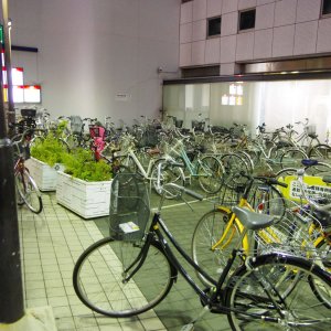 2015-08-06_IMGP8668_a