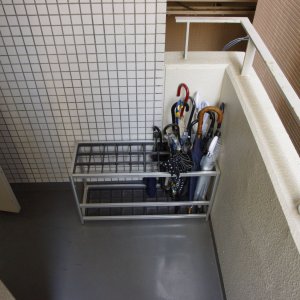 2015-08-07_IMGP8761_a