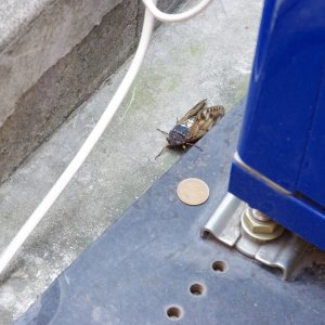 2015-08-07_IMGP8766_a