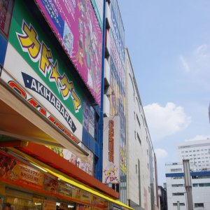 2015-08-07_IMGP8798_a