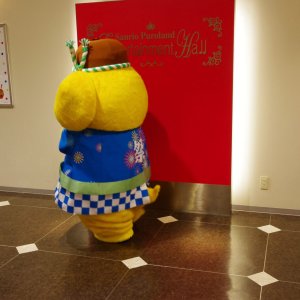 2015-08-08_IMGP8959_a