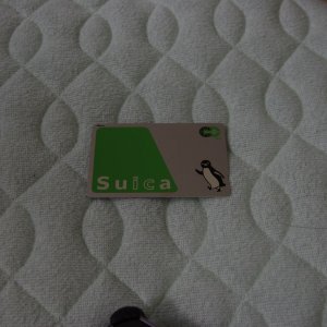 2015-08-09_IMGP9184_a