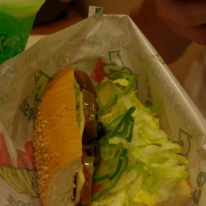 2015-08-09_IMGP9204_a