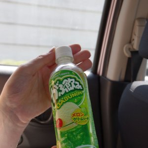 2015-08-09_IMGP9207_a