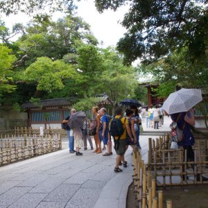 2015-08-10_IMGP9360_a