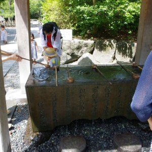 2015-08-10_IMGP9370_a