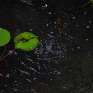 2015-08-10_IMGP9410_a