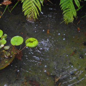 2015-08-10_IMGP9411_a