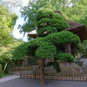 2015-08-10_IMGP9421_a