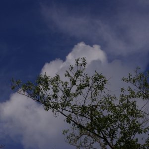 2015-08-10_IMGP9423_a