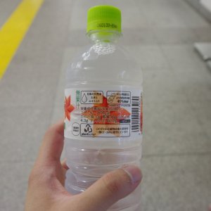 2015-08-10_IMGP9482_a