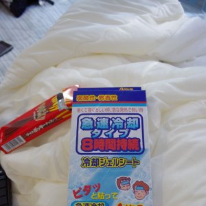 2015-08-10_IMGP9513_a