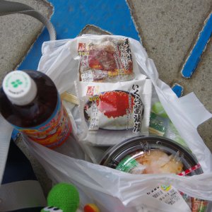 2015-08-11_IMGP9616_a