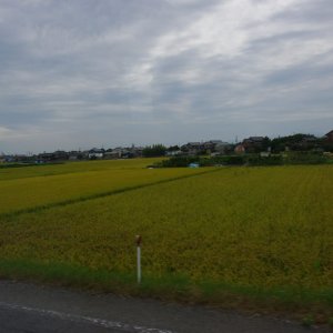 2015-08-12_IMGP9656_a