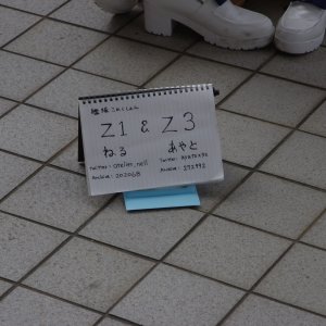 2015-08-14_IMGP9845_a