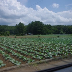 2015-08-16_IMGP0052_a