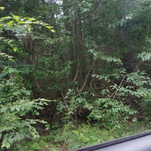 2015-08-16_IMGP0055_a