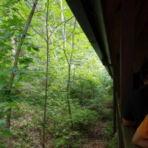 2015-08-16_IMGP0061_a