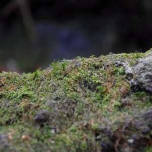 2015-08-16_IMGP0071_a