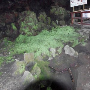 2015-08-16_IMGP0076_a