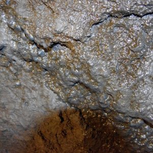 2015-08-16_IMGP0086_a