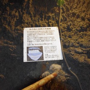 2015-08-16_IMGP0090_a