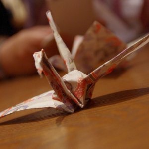 2015-08-18_IMGP0307_a