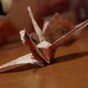 2015-08-18_IMGP0308_a