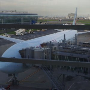 2015-08-18_IMGP0323_a